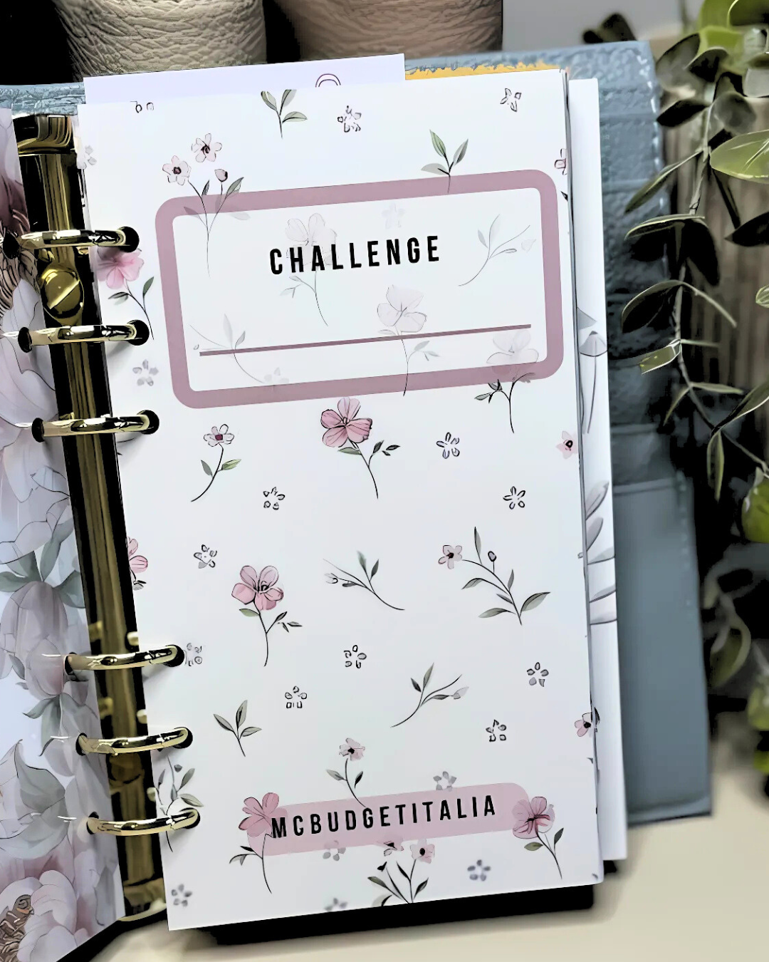 NOTEBOOK Fiorellini