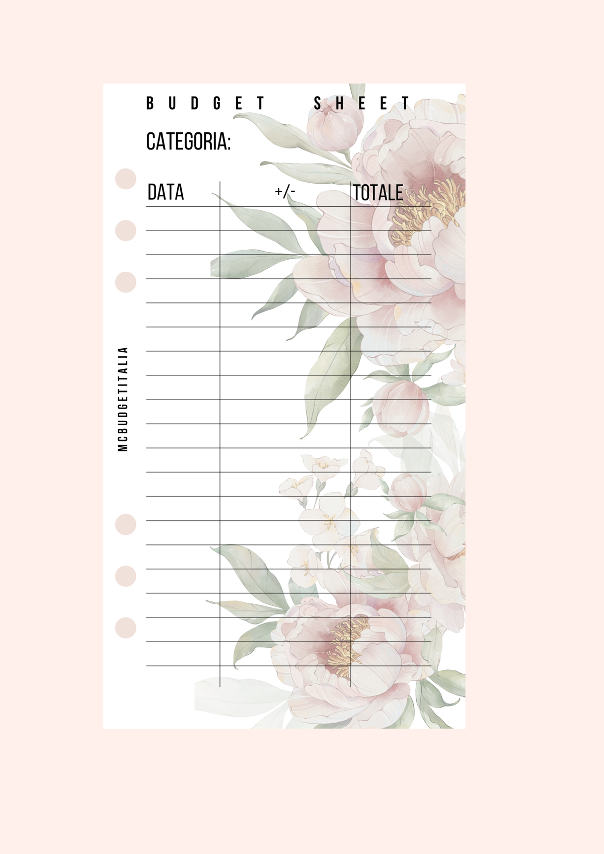BUDGET SHEET