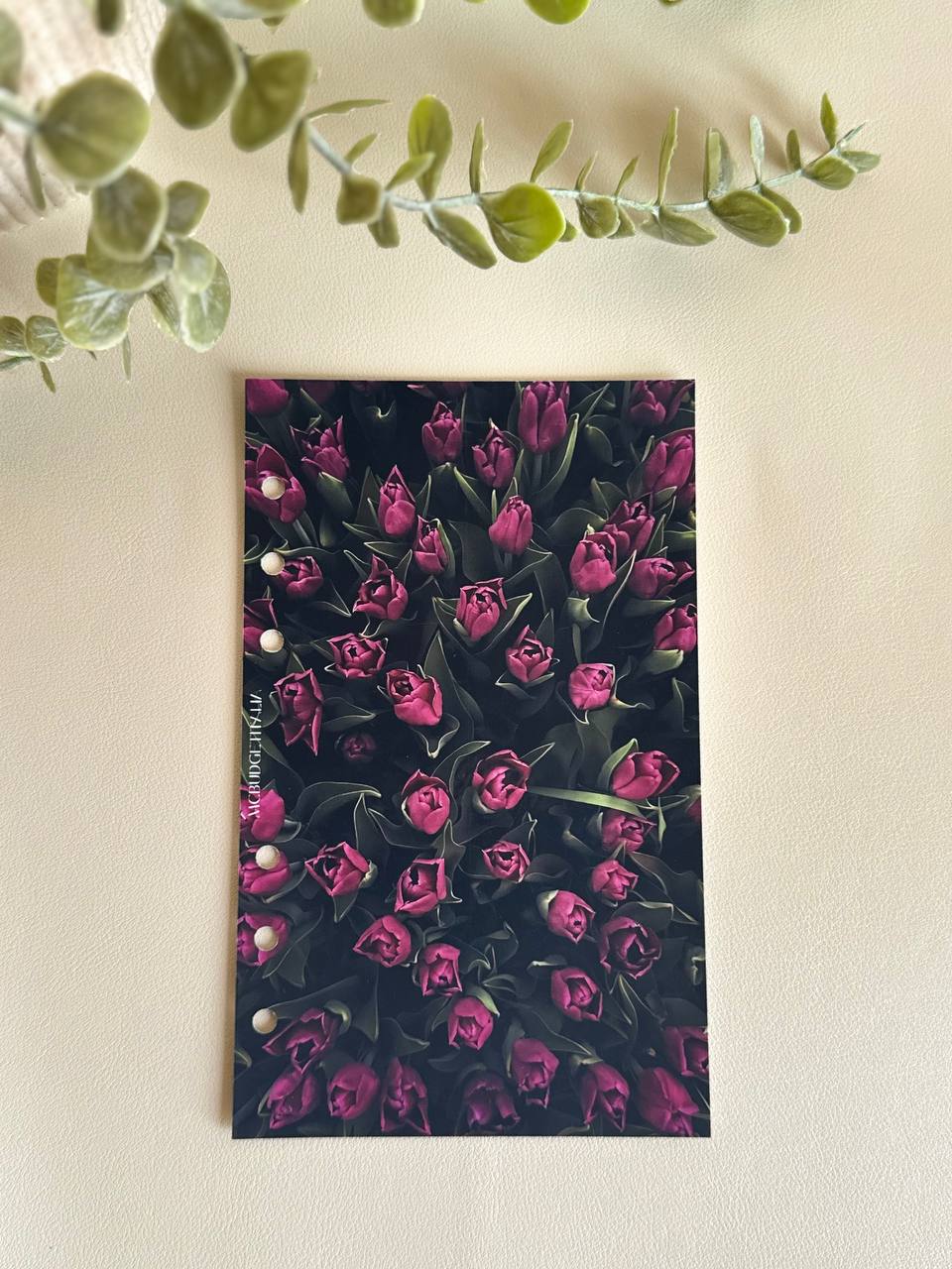 COPERTINA Tulipani a6