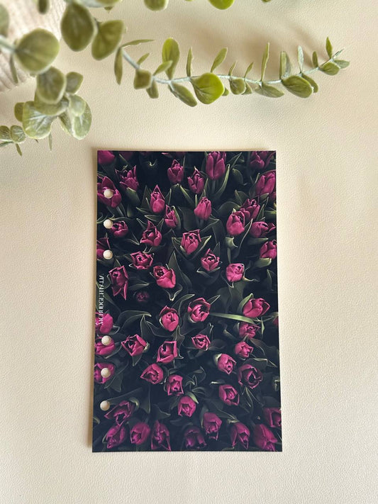 COPERTINA Tulipani a6