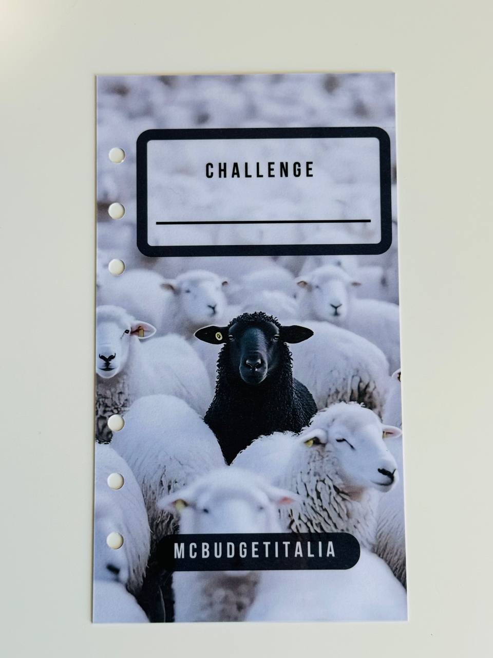 NOTEBOOK Pecora Nera