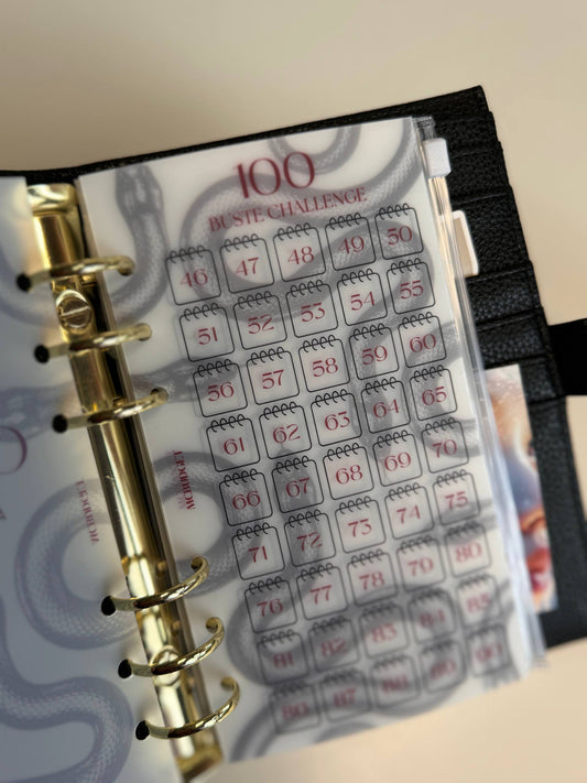 100 BUSTE A6