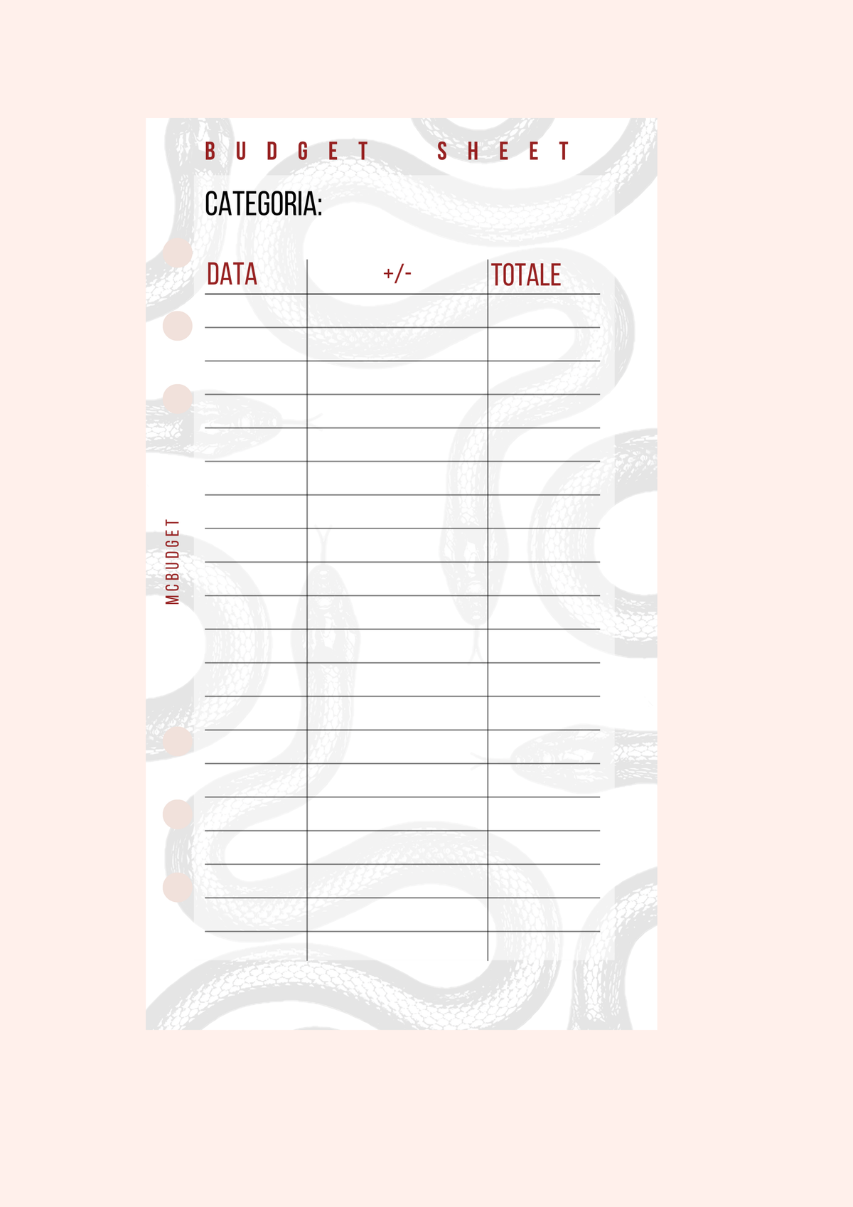 BUDGET SHEET