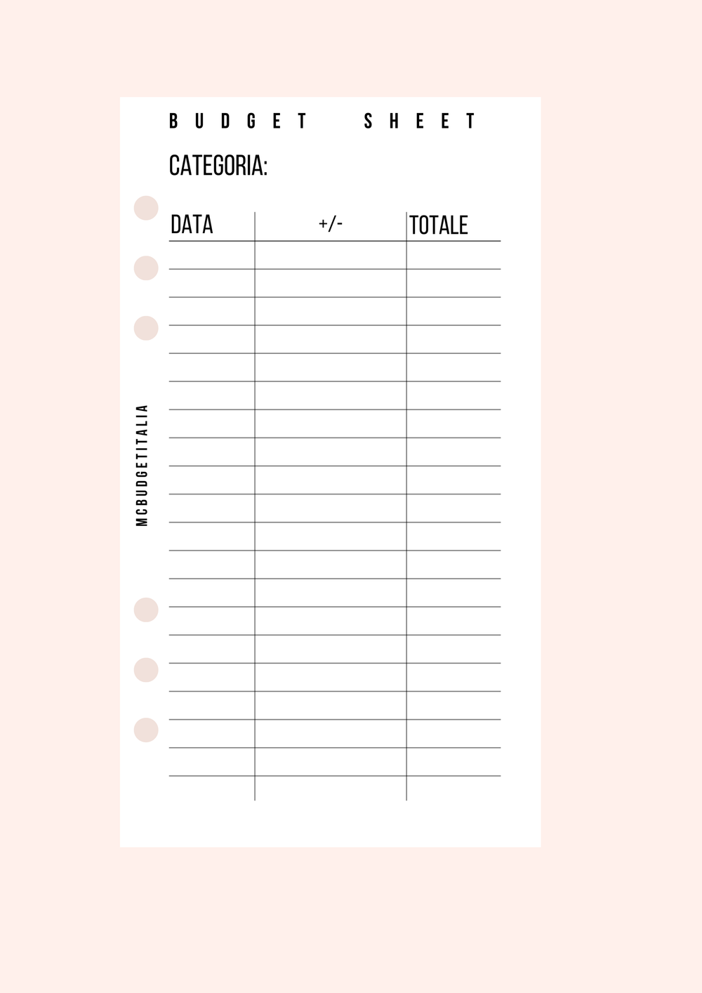 BUDGET SHEET