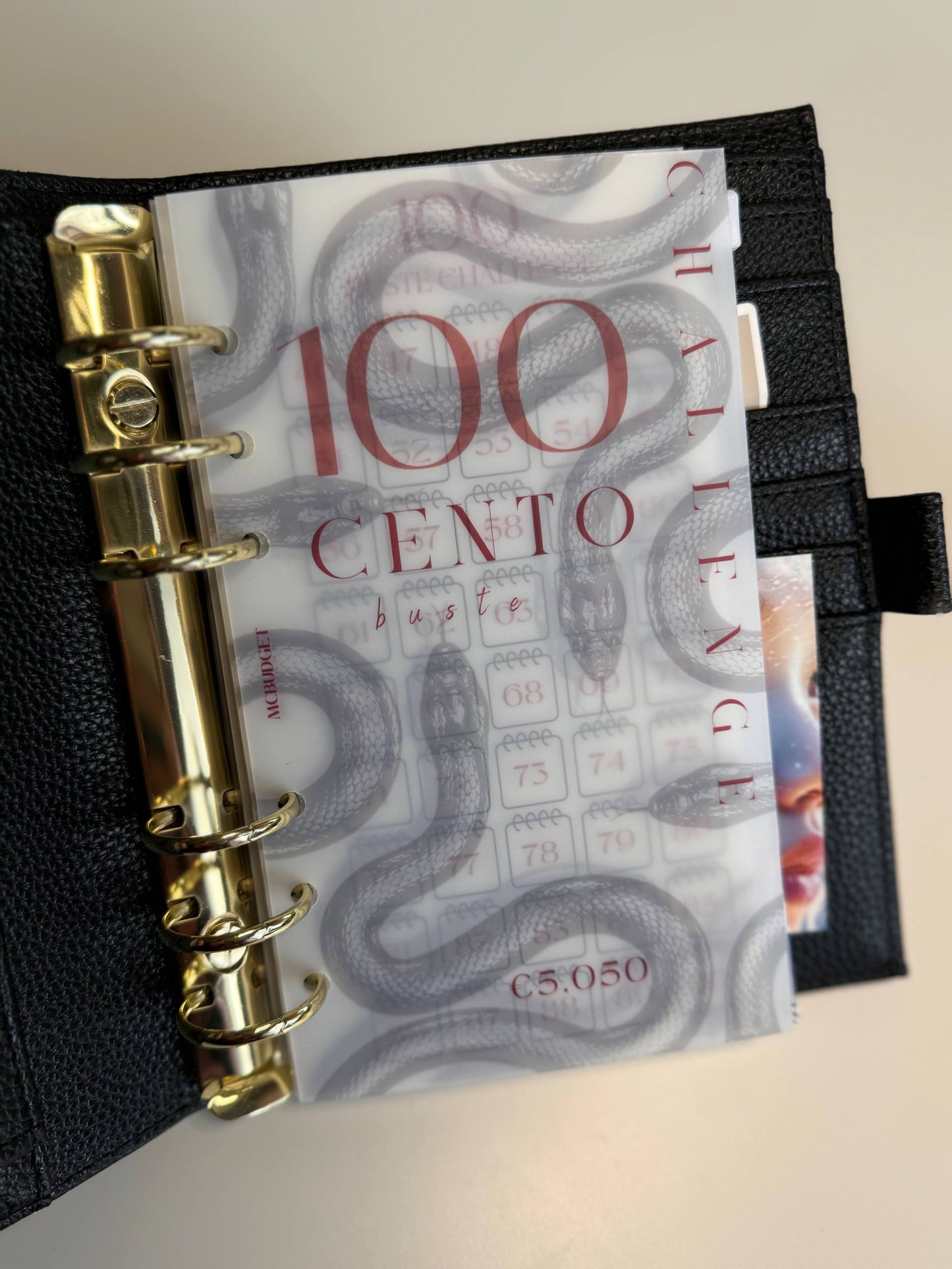 100 BUSTE A6