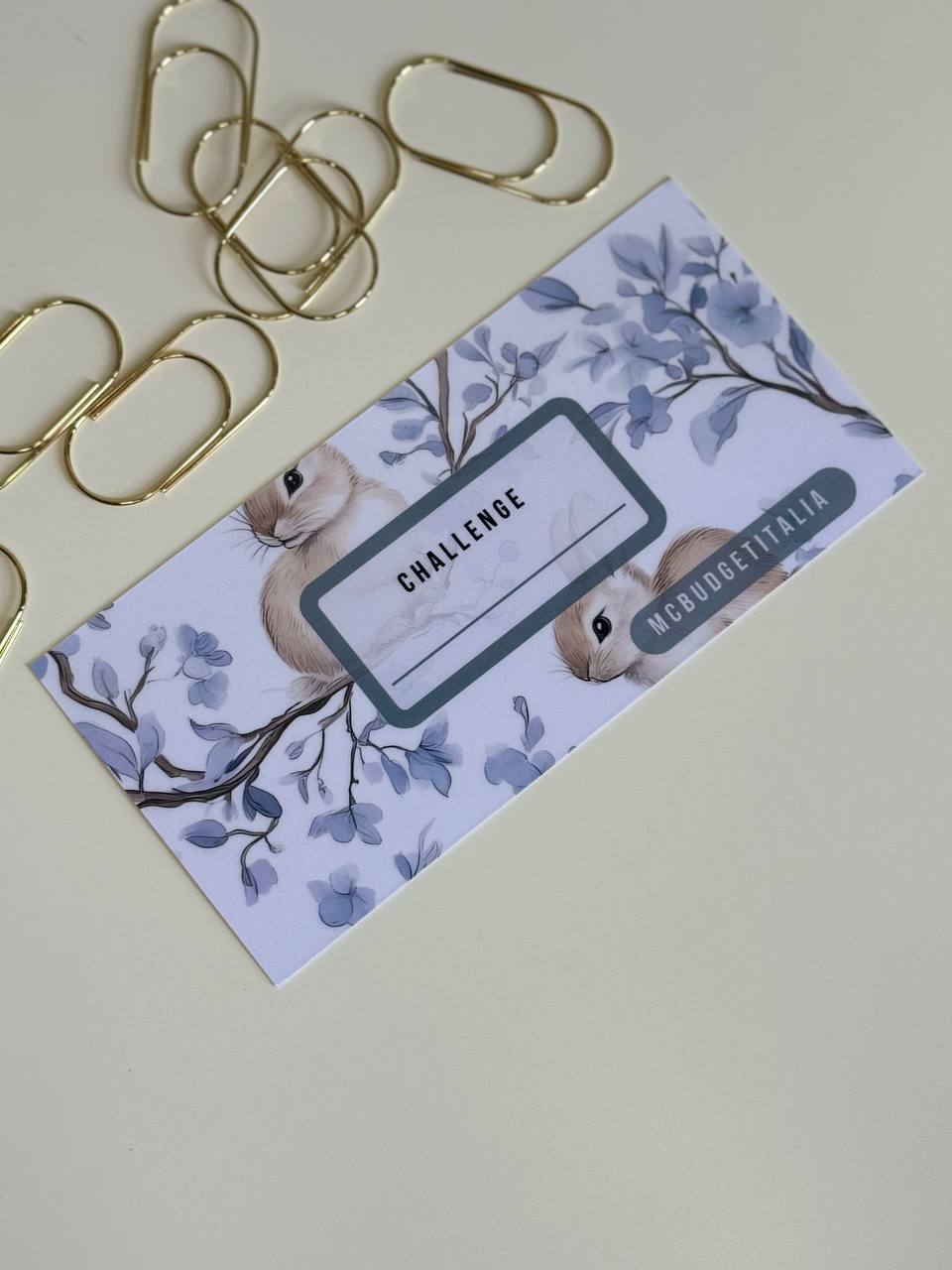 INSERTO Coniglietto Blu