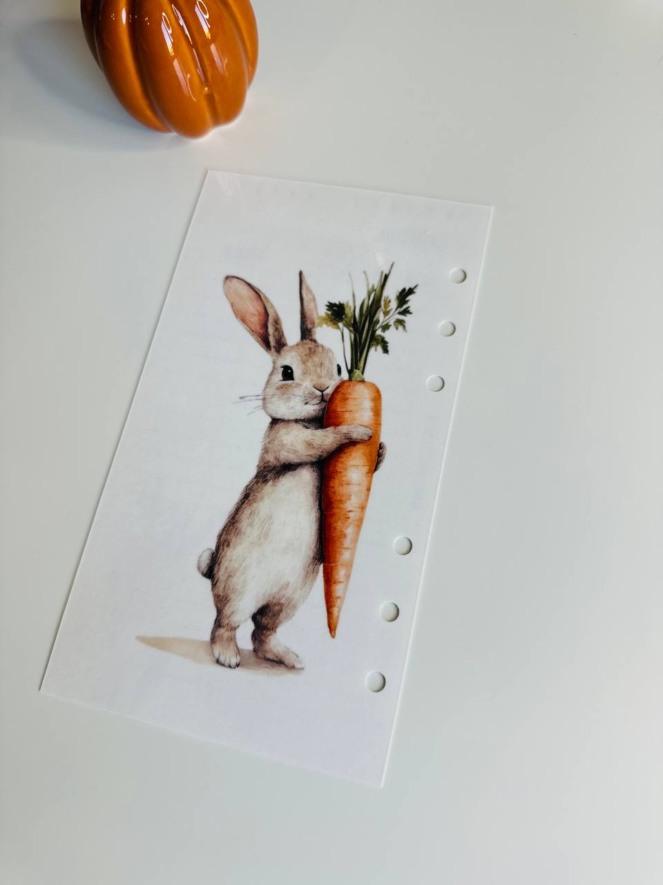 Budget Sheet Coniglietto