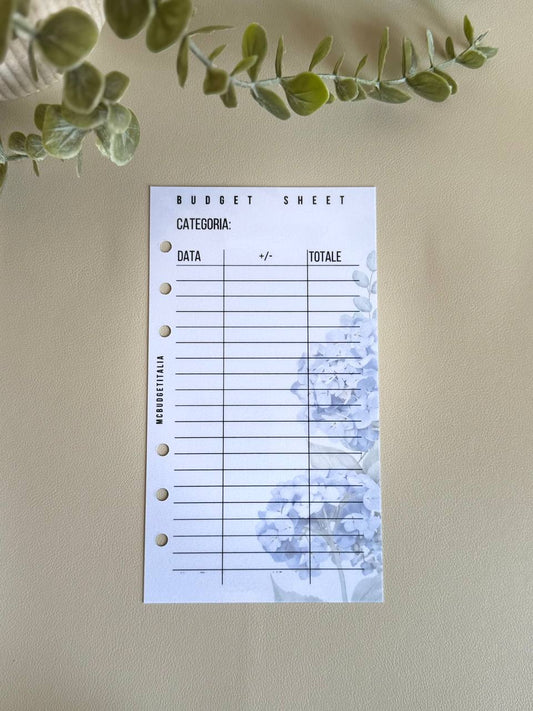 Budget Sheet BELLE