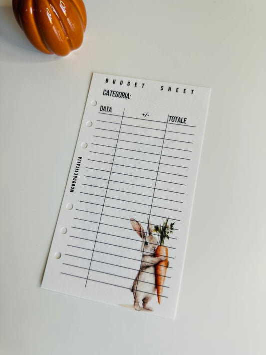 Budget Sheet Coniglietto